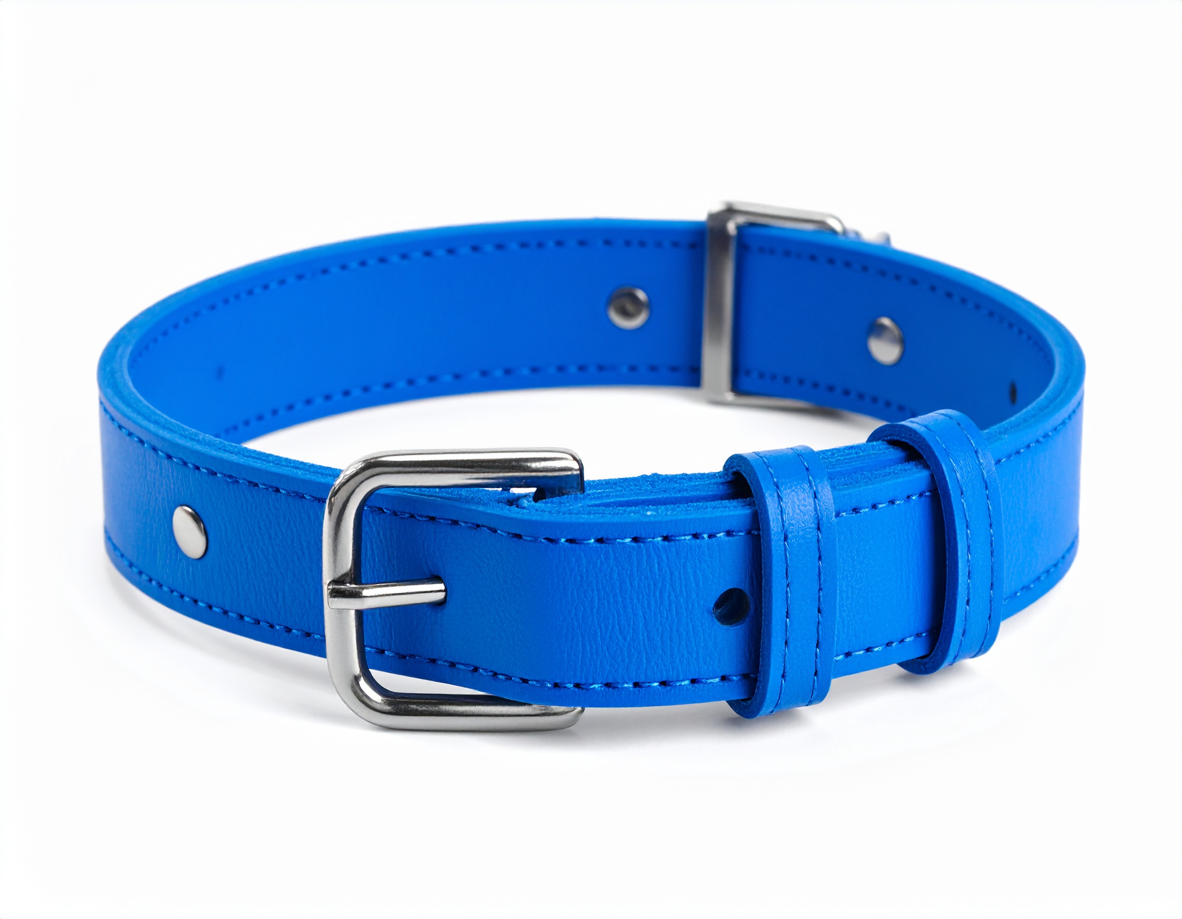 1/2" Small Buckle Collar